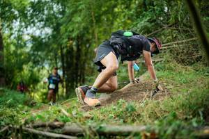 BIB: 
                            <button type="button" onclick="openModal(19433708)" class="btn btn-primary btn-sm float-right btn-popup" data-toggle="modal" data-target=".modal-high-quality">
                        <i class="fas fa-shopping-cart"></i> Add to Cart
                    </button>
                                            <button type="button" onclick="isThisMe(19433708, true)" class="btn btn-success btn-sm float-right btn-popup btn-isme hidden" data-toggle="tooltip" data-placement="bottom" title="นี่คือรูปของคุณใช่ไหม คลิกที่นี่เพื่อเอาเข้าอัลบั้ม">
                        <i class="fas fa-plus"></i> Add to album
                    </button>
                    <button type="button" onclick="isThisMe(19433708, false)" class="btn btn-warning btn-sm float-right btn-popup btn-isnotme hidden">
                        <i class="fas fa-ban"></i> Remove from album
                    </button>